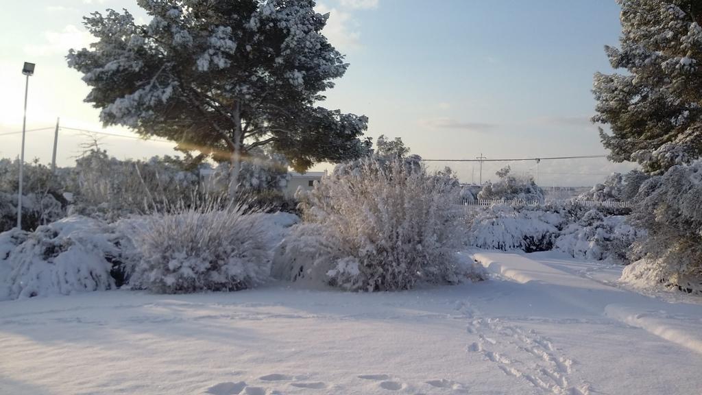 Mazzara Farm Bed & Breakfast Manduria Bagian luar foto